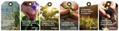 ​Jurlique汲大地菁华孕育光彩美肌